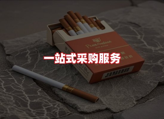 专业团队